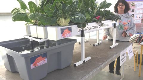 Catherine Lejolivet, enseignante en aquaculture et chargée de mission pour le projet aquaponie à La Canourgue (48), présentait une maquette du concept lors d’une journée sur les métiers d’avenir au lycée de Romans-sur-Isère (26) en 2019. ©Odile Maillard